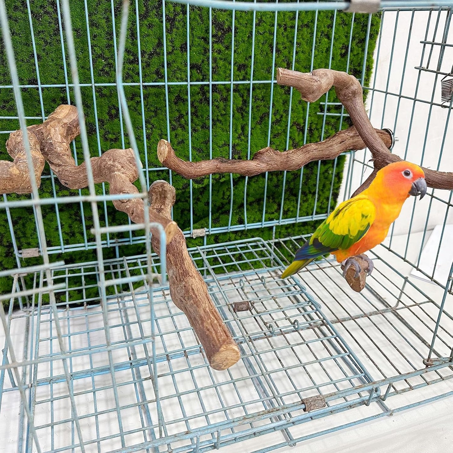 Allazone 4-Piece Bird Perch - Natural Grapevine Stick Swing Chewing Toys for Parrot Cages, Cockatiels, Parakeets, Finches