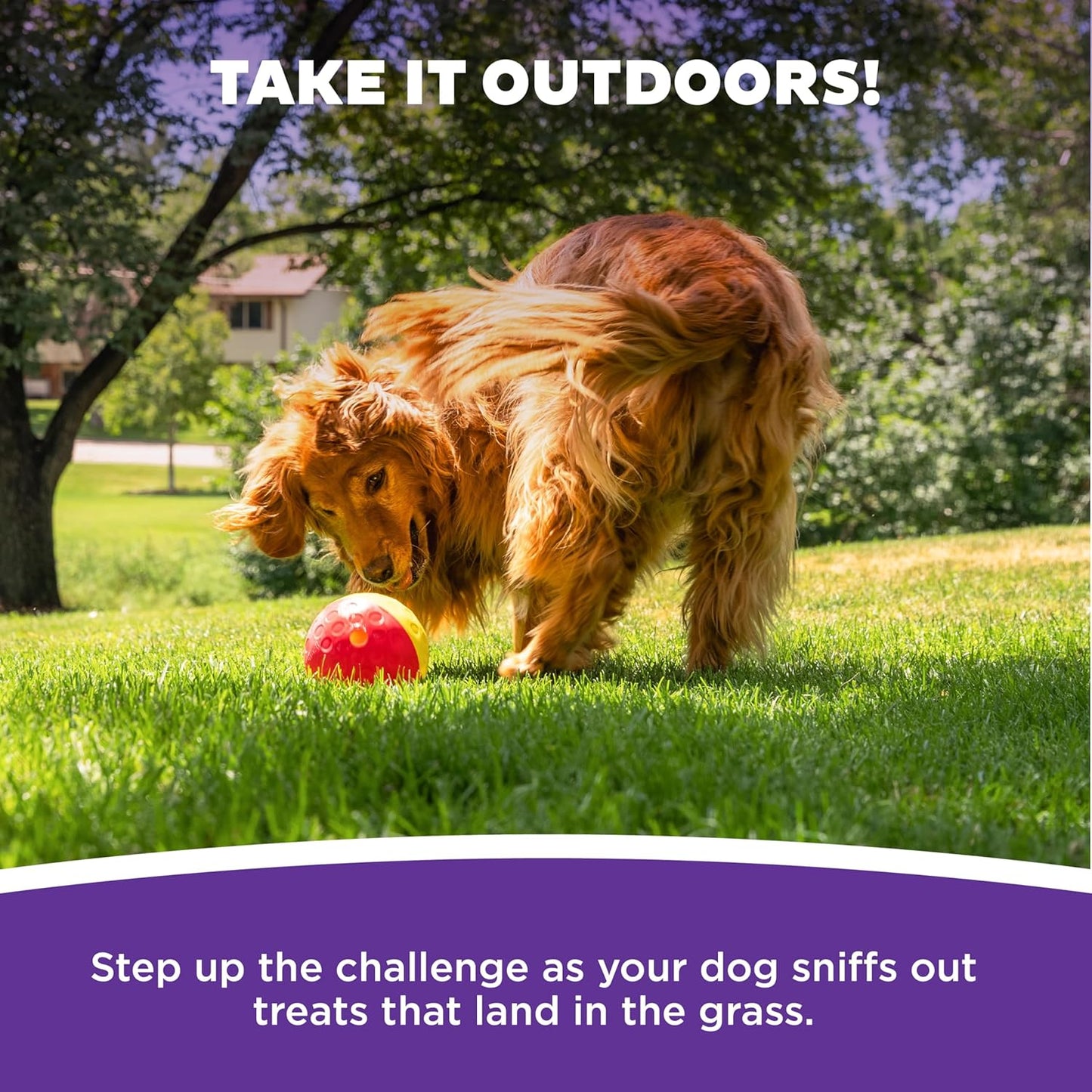 Outward Hound by Nina Ottosson Treat Tumble Interactive Puzzle Ball Dog Toy, Level 1 Beginner, Pink, Large (5.75" Diameter)