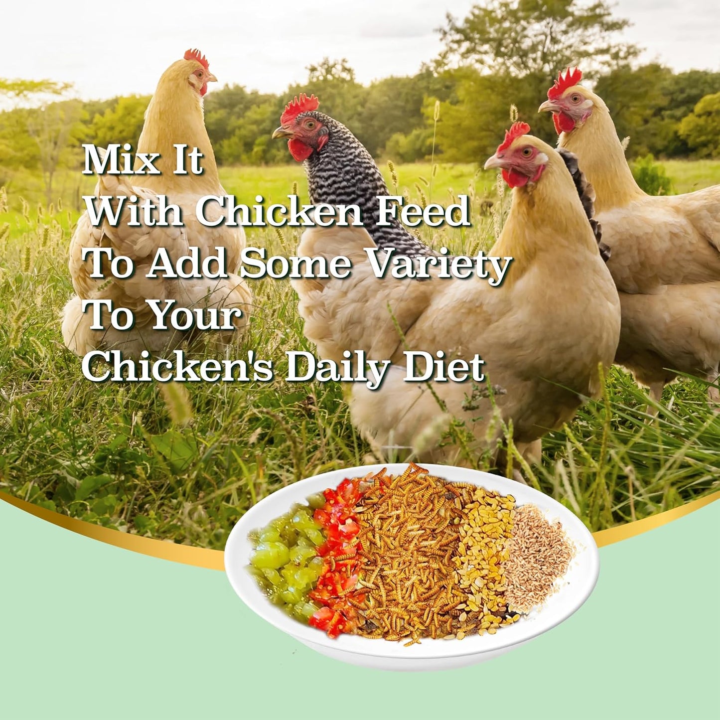 2LB Dried Black Soldier Fly Larvae, More Calcium Than Dried Mealworms, High Protein Chicken Feed, Poultry Treat, Chicken Scratch